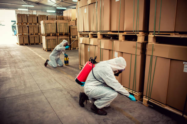 Best Pest Removal Services  in Watsonville, CA