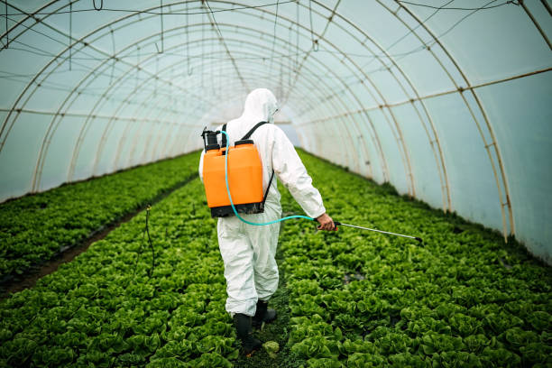 Best Mosquito Control Services  in Watsonville, CA