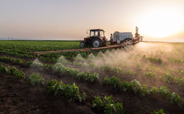 Best Wildlife Control Services  in Watsonville, CA