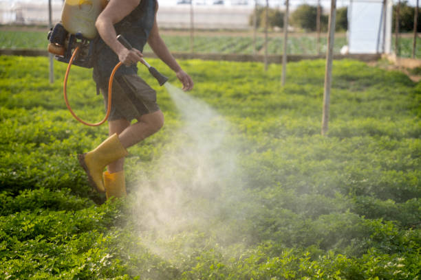 Best Residential Pest Control  in Watsonville, CA