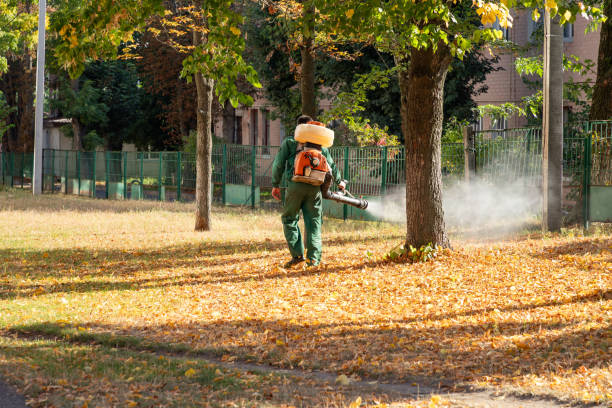 Best Pest Inspection Near Me  in Watsonville, CA