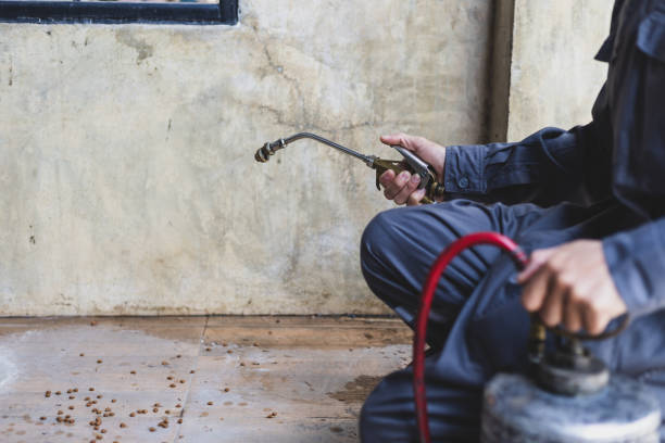 Best Local Pest Control Services  in Watsonville, CA